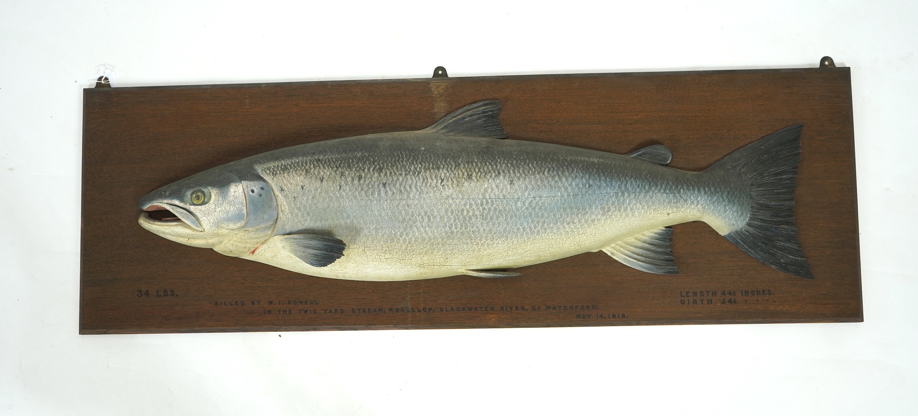 Attributed to John and Dhuie Tully of Fochabers: A painted half block model of an Atlantic Salmon, dated 1916